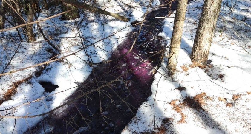 Химический краситель из перевернувшейся на трассе "Вятка" фуры попал в реку