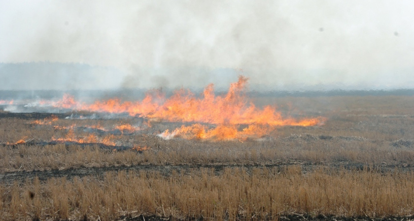 В Кировской области неизвестный спалил 350 "квадратов" сухой травы