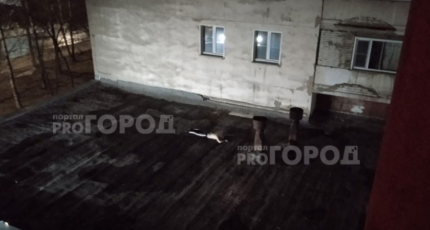 В Кирове из окна многоэтажки выпал человек