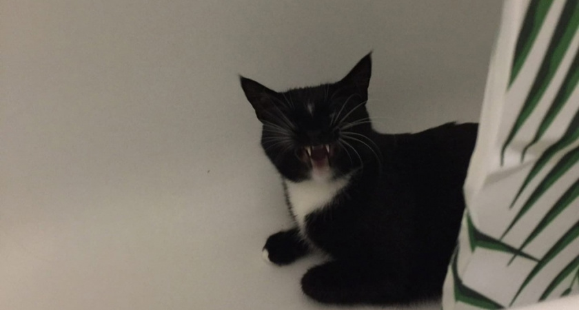 Жители двух районов Кирова останутся без холодной воды