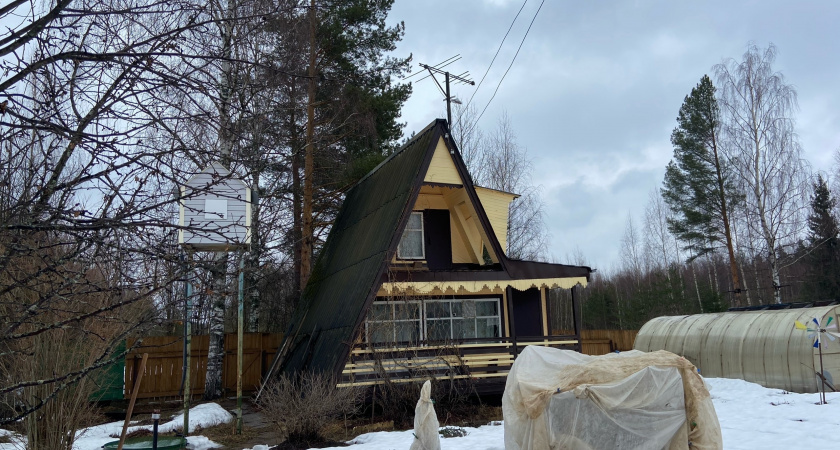 За мусор и сорняки: в России ввели новые штрафы для дачников