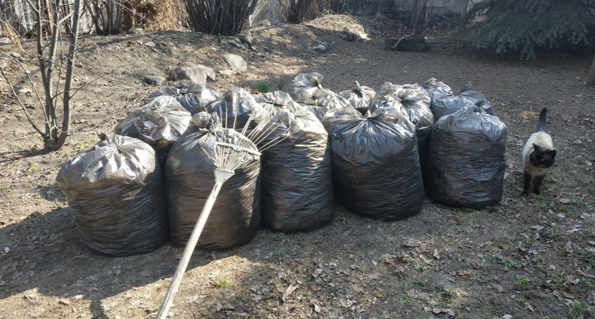 Кировчанам предлагают прибрать город