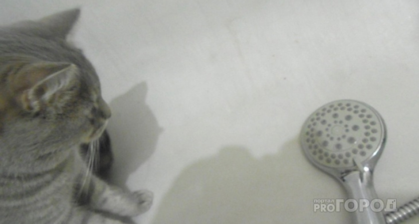 В Коминтерне и в Лянгасово отключат холодную воду