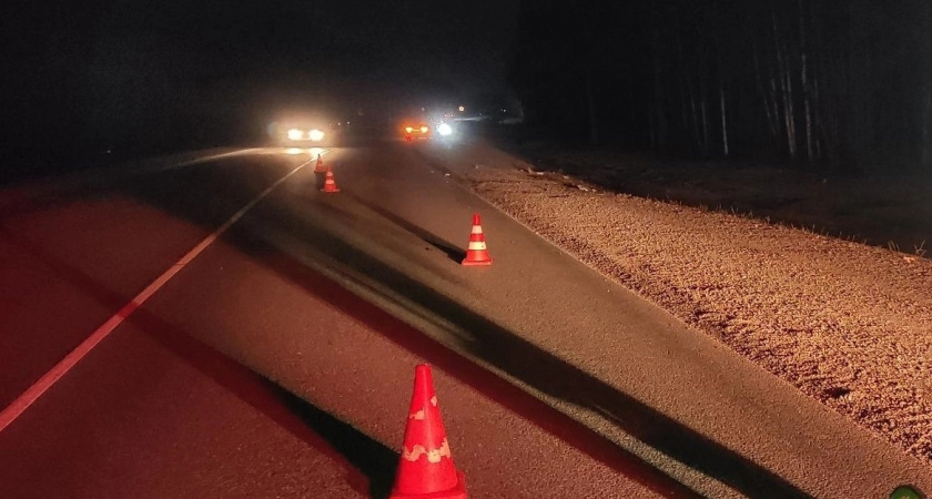 Смертельное ДТП: в Кировской области сбили пешехода