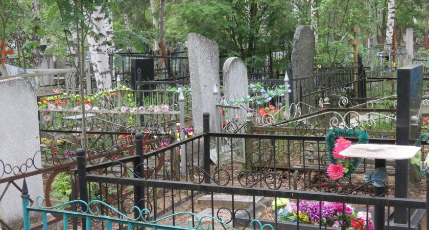 В Кирове 25 апреля и 9 мая организуют спецрейсы к местам захоронений