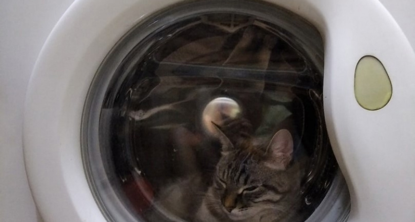 В Ленинском районе Кирова отключат холодную воду