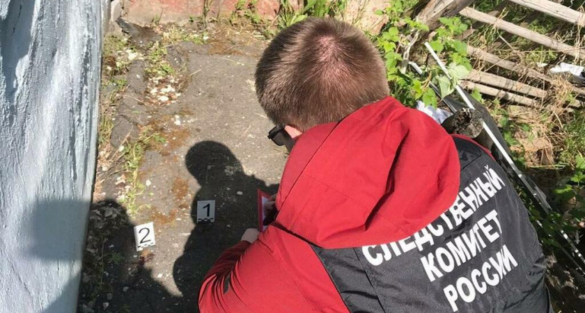  Пропавшую в Балашихе девочку нашли мертвой: ребенок исчез после смерти матери