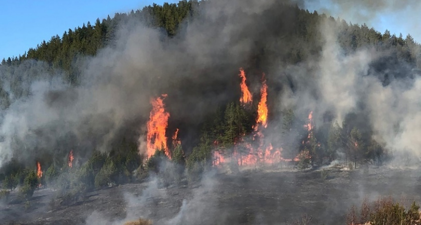 За сутки в Кировской области произошло шесть лесных пожаров