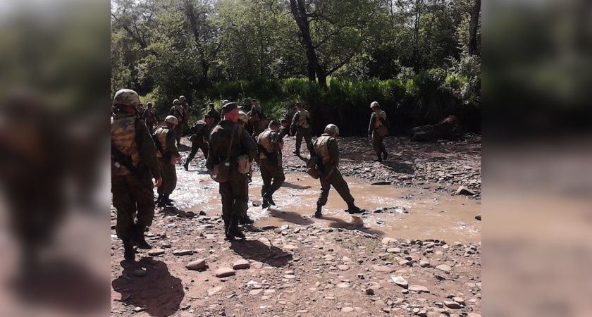 "Уверен, те будут только рады": депутаты Госдумы хотят отправить безработных в зону СВО