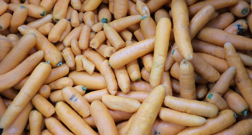 В Кировской области предоставляют меры поддержки по переработке сельхозпродукции