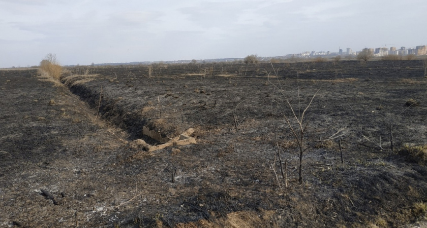 В Кировской области ввели "желтый" уровень погодной опасности