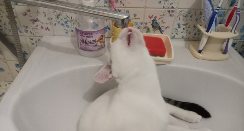 Известен список адресов в Кирове, где сегодня отключат холодную воду