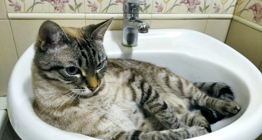 В двух районах Кирова отключат холодную воду