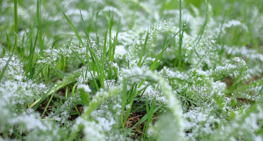 Александр Соколов просит кировчан быть осторожнее: в регион вернулась снежная погода