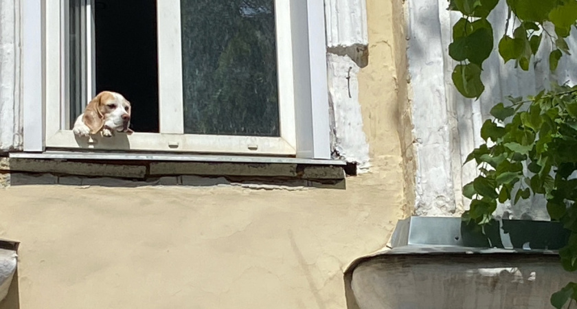 Кировчан ждет по-летнему жаркое воскресенье