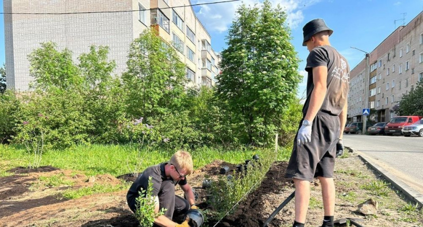 В Кирове обустраивают зеленый островок на улице Егоровской