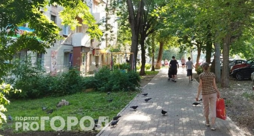 Последний день недели в Кирове будет теплым и дождливым