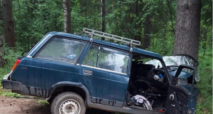 В Кировской области водитель "ВАЗ" врезался в дерево: погиб мужчина