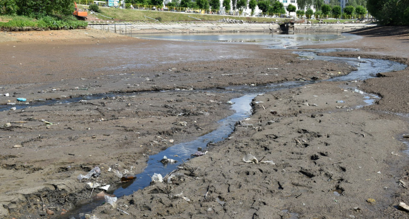Опасные игры и ужасный запах: что происходит на месте иссушенного пруда в парке Кирова