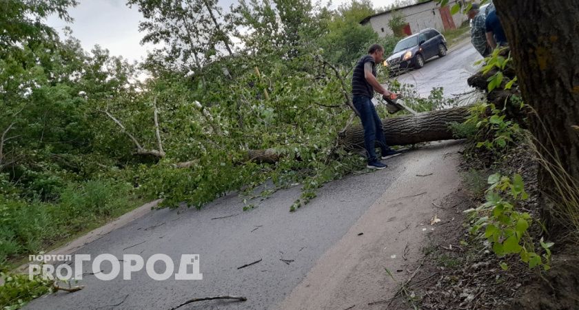 Последствия урагана в Кировской области: подборка фото