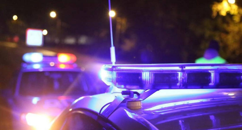 Автоинспекторы объявили о «сплошных проверках» на выходных