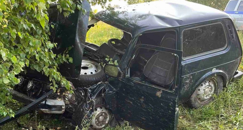В Кировской области пьяный водитель на "Ниве" врезался в дерево: пострадал ребенок