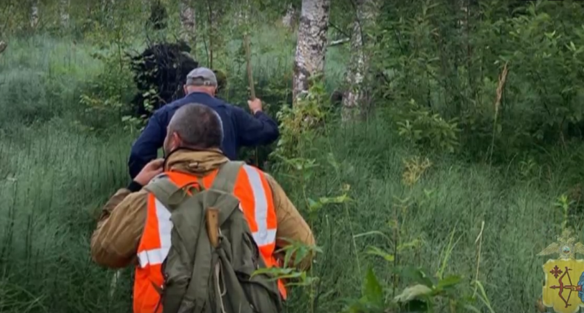 В Кировской области пропавшего грибника нашли с помощью дрона