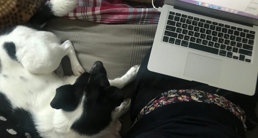 Руководители и рядовые сотрудники из Кирова рассказали о плюсах и минусах удаленки