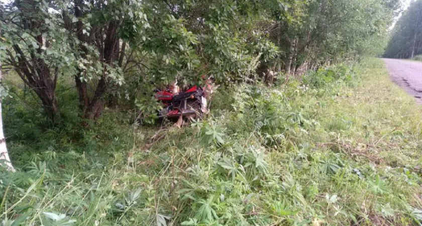 В Кировской области мотоциклист оказался в кювете и врезался в дерево