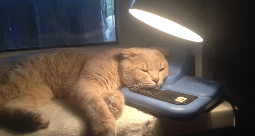 Известно, по каким адресам в Кирове отключат свет 8 августа