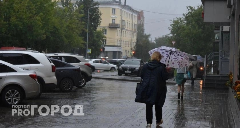 На новой рабочей неделе в Киров вернутся дожди 
