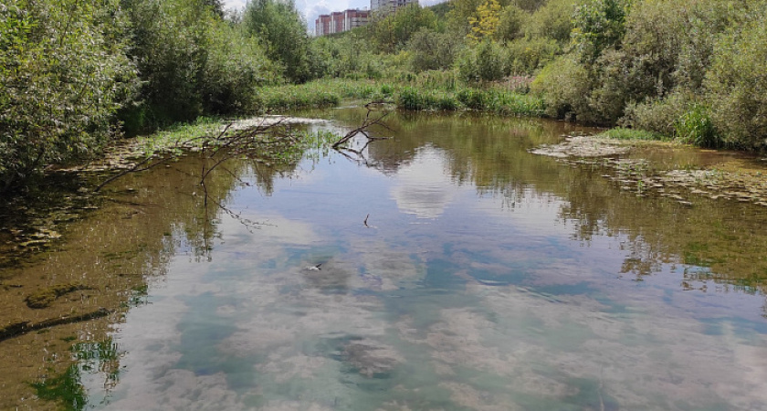 В Кирове расчистят озеро Ежово