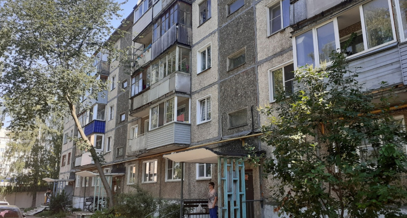 "Это все из-за трупов в подвале": жильцы кировской пятиэтажки рассказали о нашествии блох