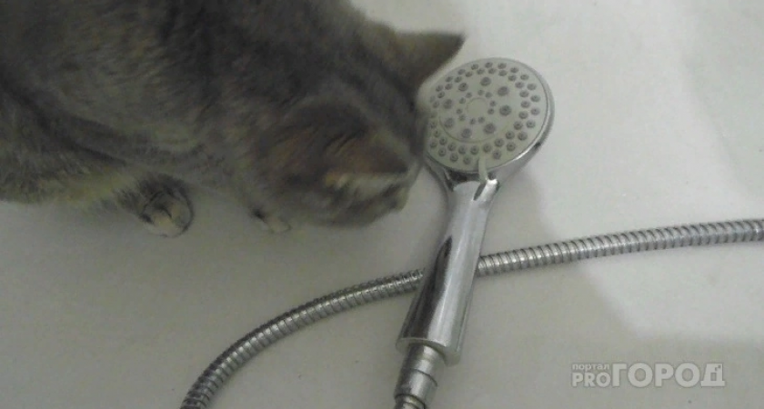 18 августа десятки кировчан останутся без электричества и холодной воды