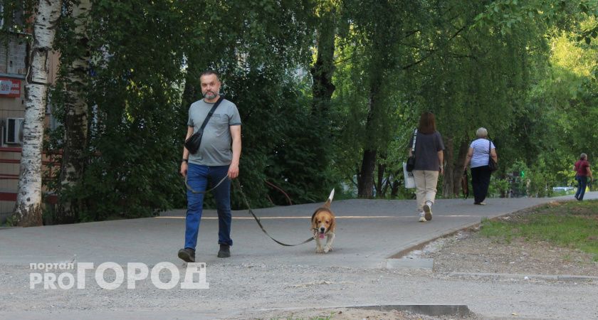 Скорпионам грозит потеря денег, а Девы будут учиться говорить "нет": гороскоп на 23 августа