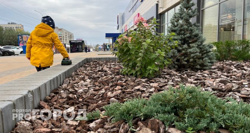 Козероги будут убегать от перегрузок, а Водолеи испытают сомнения: гороскоп на 29 августа