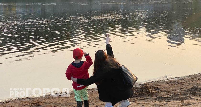 Львы достигнут невероятных успехов, в Тельцам захочется уединиться: гороскоп на 31 августа