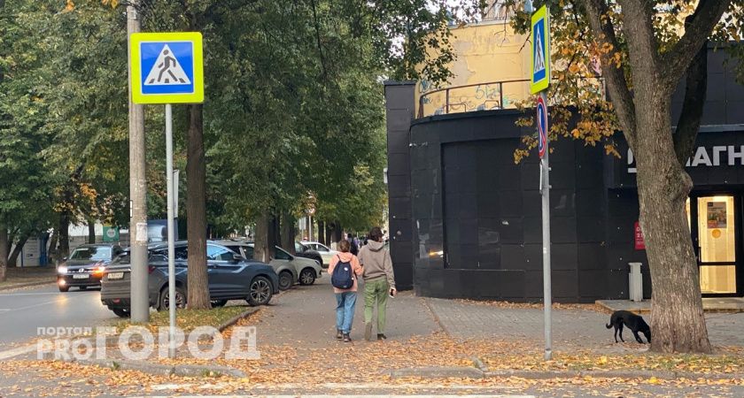 Рыбы окунутся в мечты, а Скорпионы решат давние задачи: гороскоп на 8 сентября