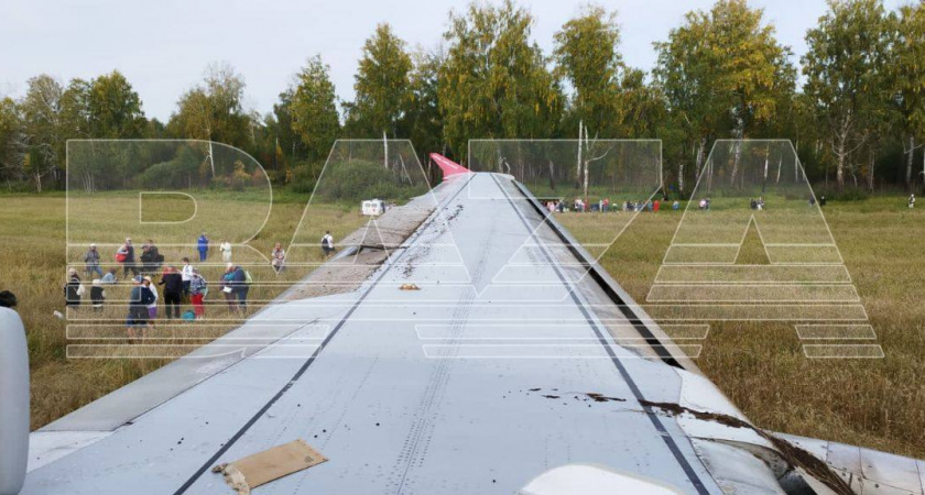 В Новосибирской области в небе у самолета отказала гидравлическая система