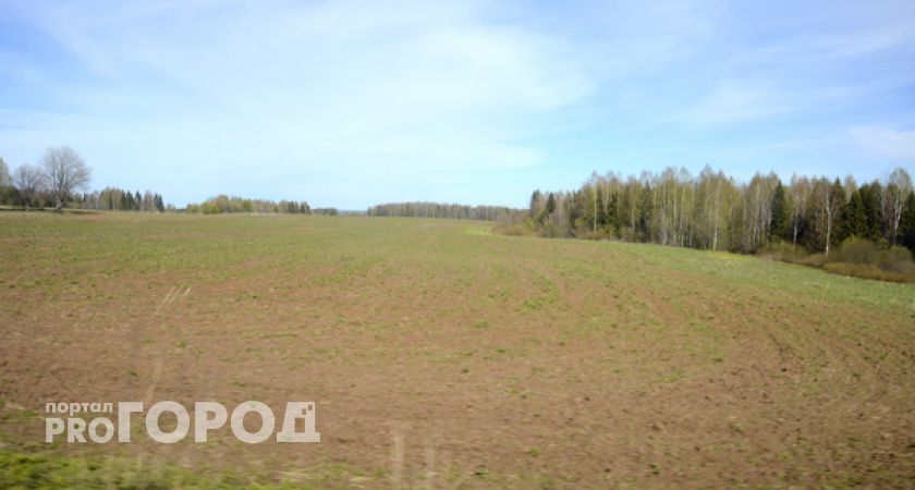В Кировской области расчистили 2,6 тысячи гектаров неиспользуемой пашни