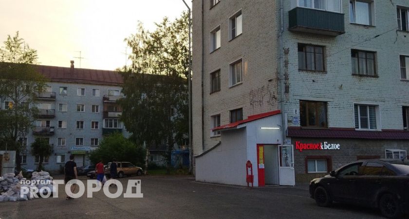 Жильцов одного из кировских домов атакуют насекомые-оккупанты, а на стенах размножается плесень 