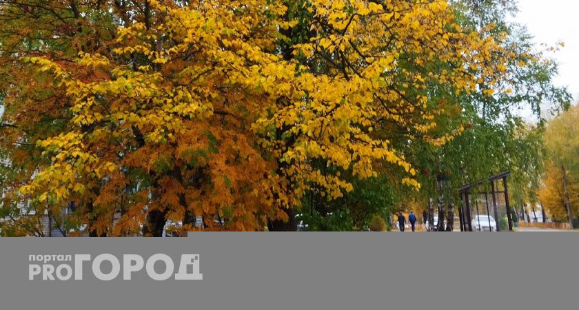 Овны будут энергичны, а Тельцам захочется спокойствия: гороскоп на воскресенье, 17 сентября