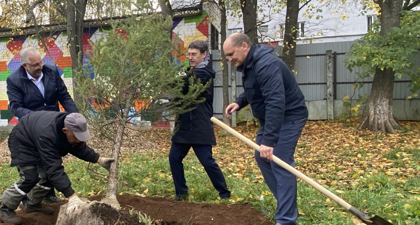 Сотрудники "Т Плюс" высадили в Музыкальном сквере Кирова маленький дендропарк
