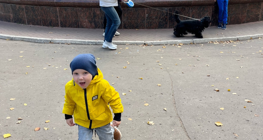 Пособие по беременности в России увеличится почти до 800 тысяч рублей