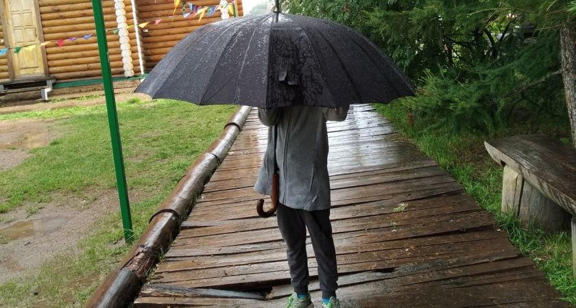 Настоящая осень: в Кирове неделя начнется с проливных дождей