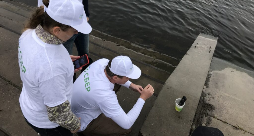 Сбер и фонд "Без рек как без рук" представили результаты исследования состояния воды Волги