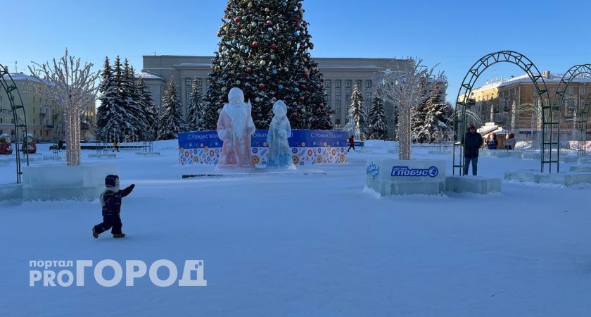 Известно, во сколько миллионов рублей Кирову обойдется новая новогодняя ель 