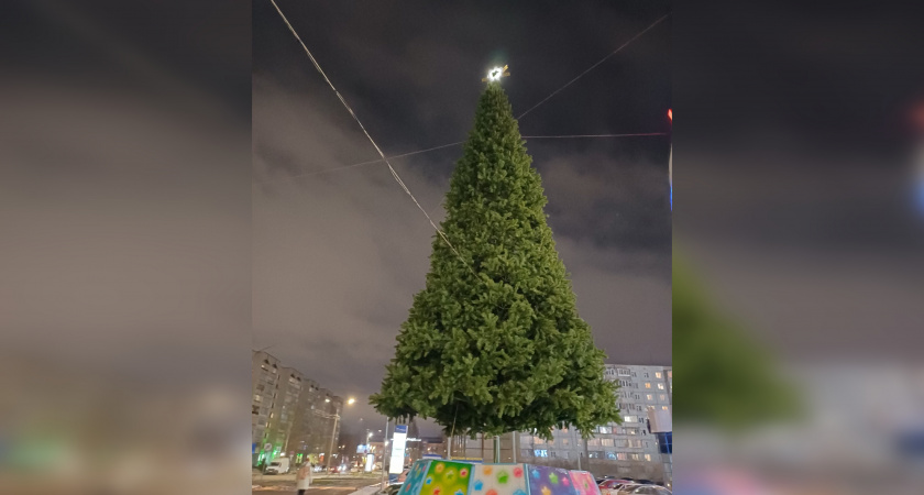 Все районы города: адреса, по которым появятся новогодние елки в Кирове