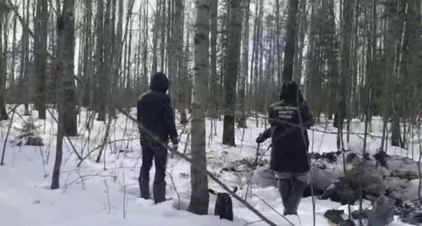 В Кировской области в лесу нашли изувеченное тело мужчины