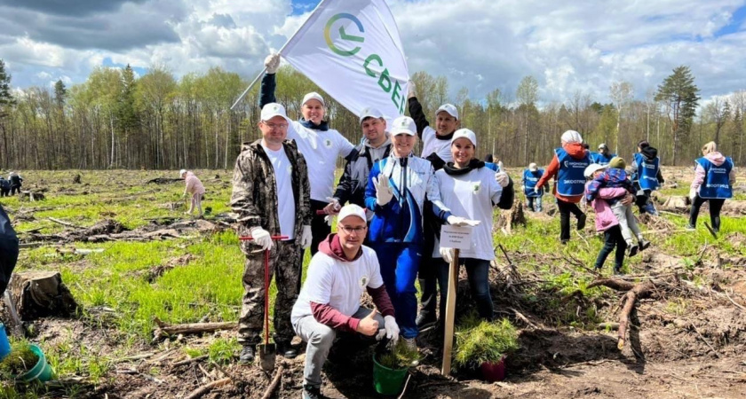Более 2,2 тыс. сотрудников Волго-Вятского банка Сбербанка приняли участие в волонтерских проектах